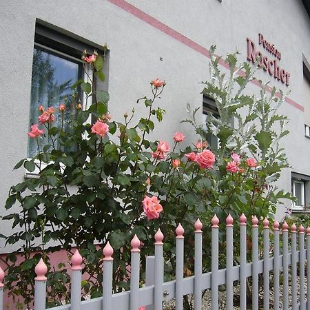 Pension Sonnenschein Sankt Kanzian am Klopeiner See Zewnętrze zdjęcie